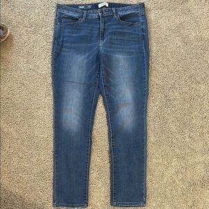 Sonoma Blue Skinny Jeans Classic Style